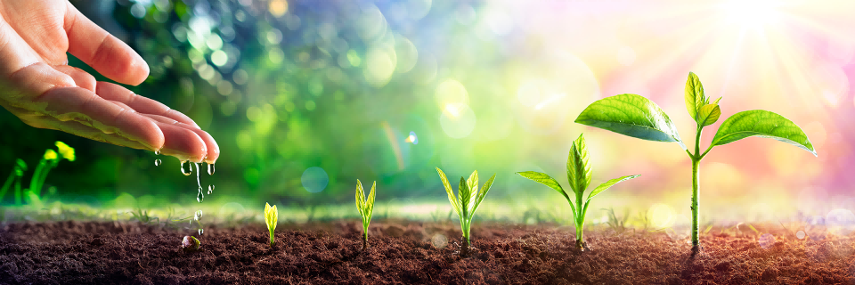 必赢亚洲·bwin(中国区)官方网站